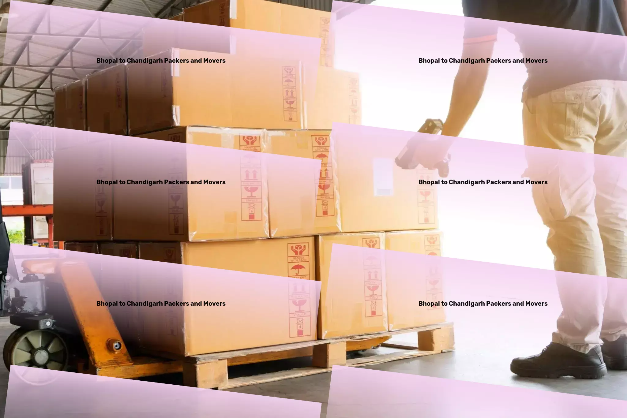 Bhopal to Chandigarh Packers And Movers Unleashing efficiency in Indian transport like never before! - Logistics services