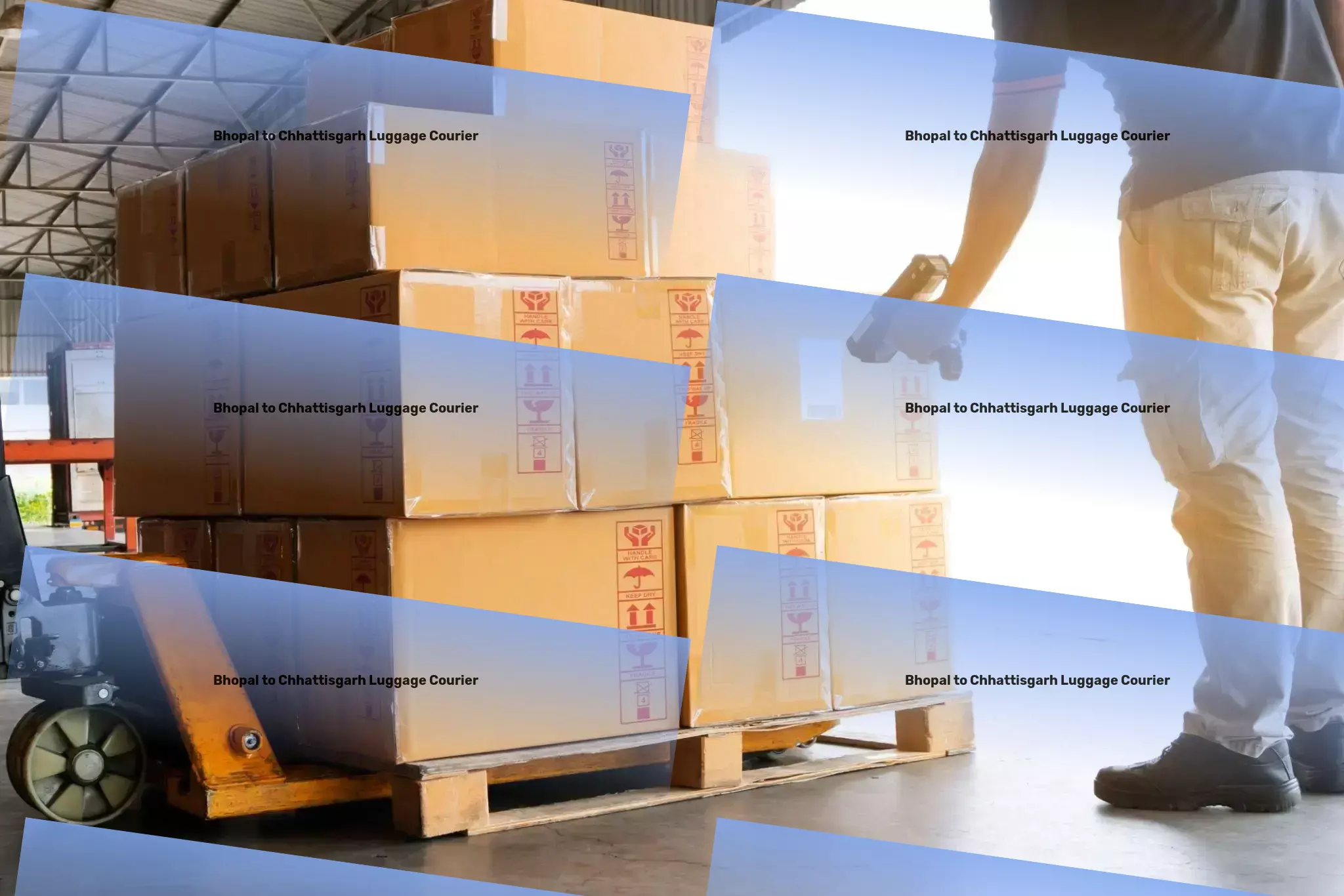 Bhopal to Chhattisgarh Luggage Courier Building stronger logistics foundations for businesses! - Cross-country logistics