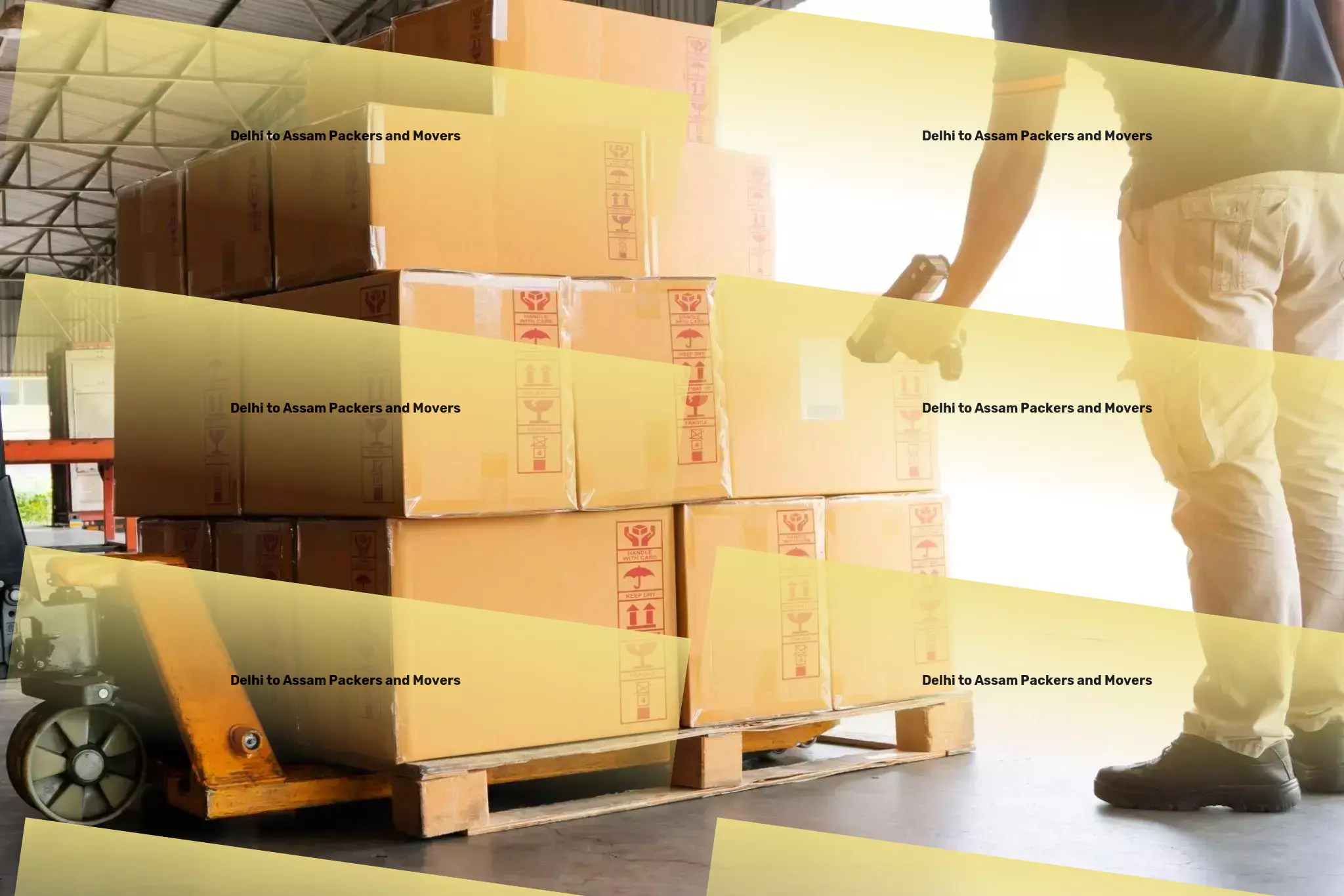 Delhi to Assam Packers And Movers Effortless and effective movement of goods within India! - Express goods shipment solutions