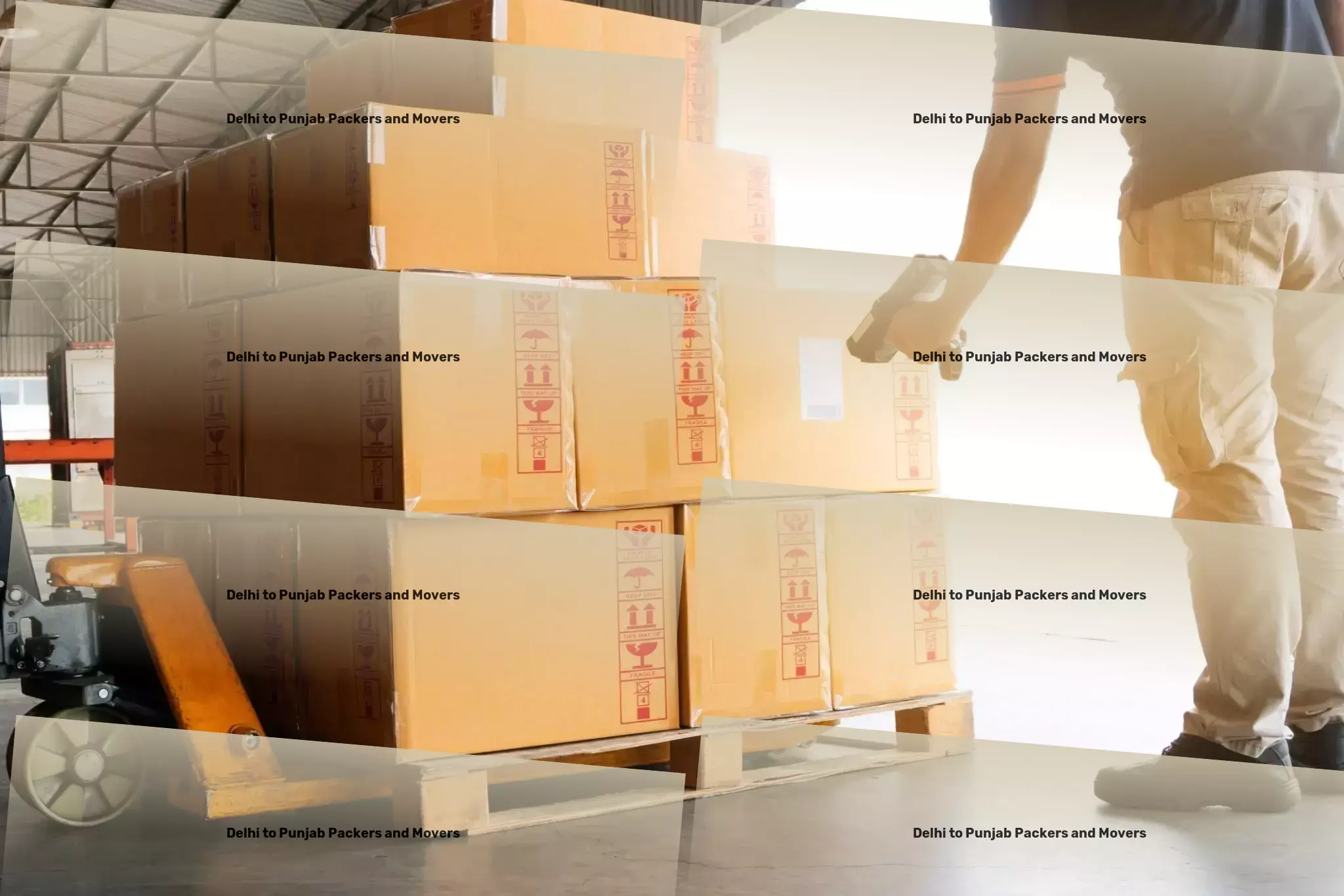 Delhi to Punjab Packers And Movers Optimal routes, timely delivery - that's our promise in India. - Interstate logistics