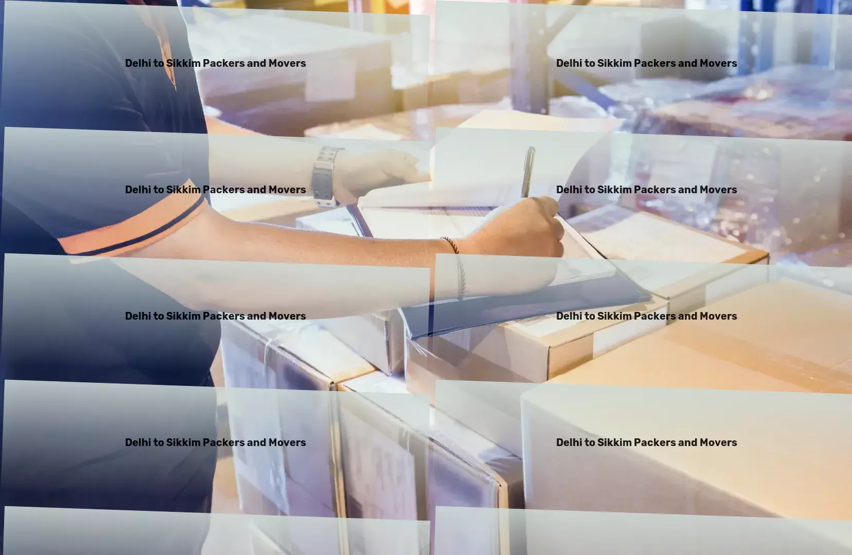 Delhi to Sikkim Packers And Movers Dedicated to making your logistics experience better! - Specialized logistics services