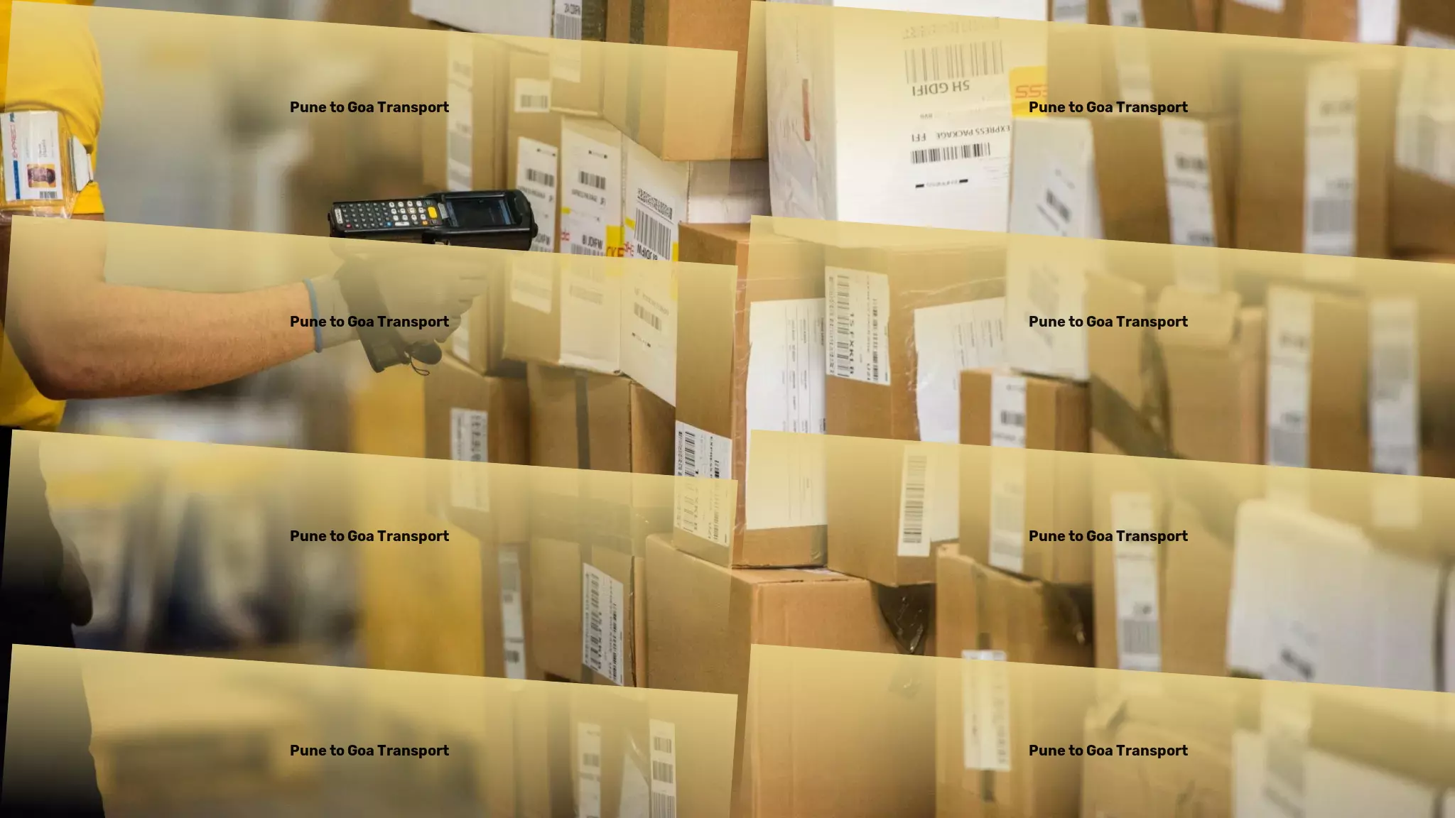 Delhi to Fazilnagar For Catalog Mailing Envelopes - Cargo transport solutions